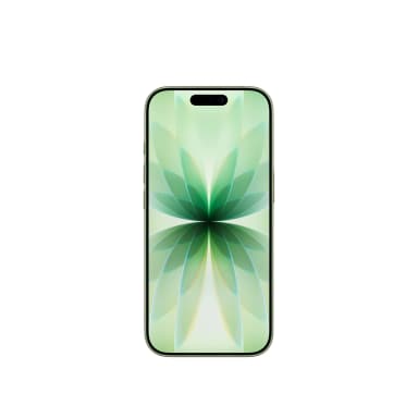Apple iPhone 17 512 ГБ (Шалфейно-зелёный | Sage)-2