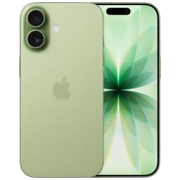 Apple iPhone 17 256 ГБ (Шалфейно-зелёный | Sage)