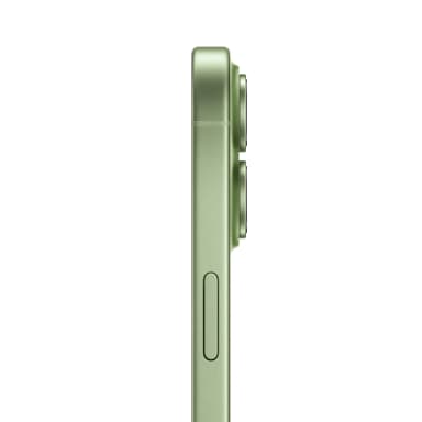 Apple iPhone 17 512 ГБ (Шалфейно-зелёный | Sage)-4